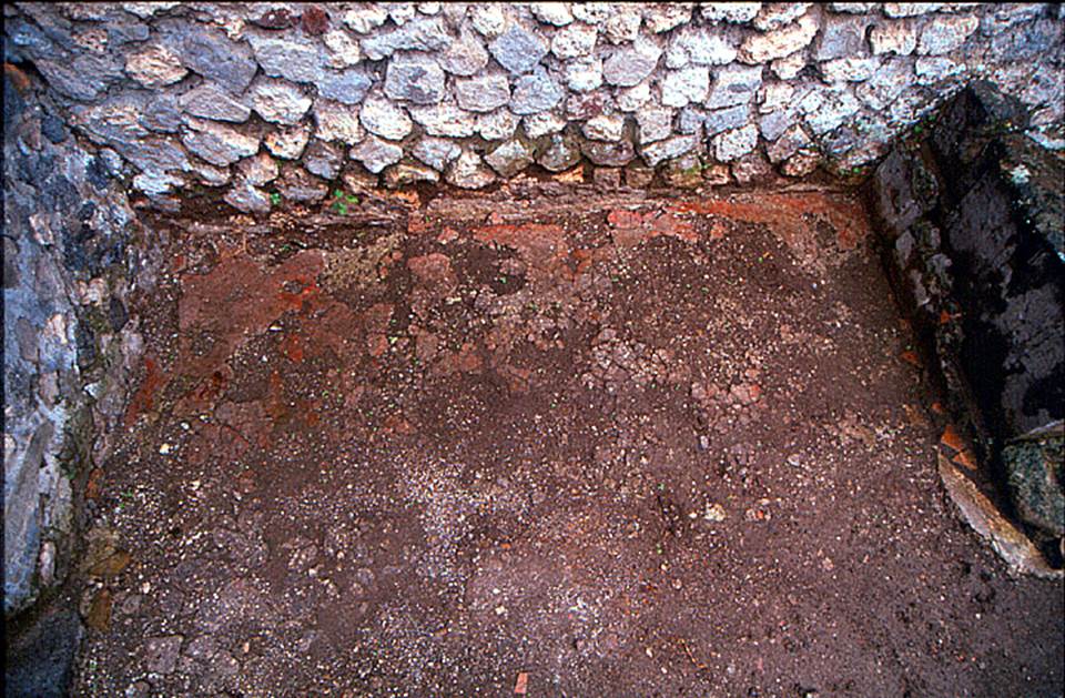V.1.15 Pompeii. c.2006-8. 
Cocciopesto floor with red surface preserved in east corner of atrium. Photo by Henrik Boman. 
Photo courtesy of the Swedish Pompeii Project.