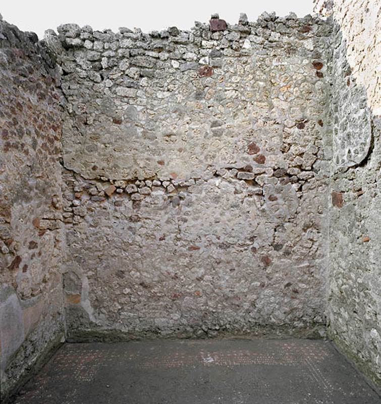 V.1.18 Pompeii. c.2005-2008.   
Room “n”, oecus, looking towards north wall. Photo by Hans Thorwid.
Photo courtesy of The Swedish Pompeii Project.