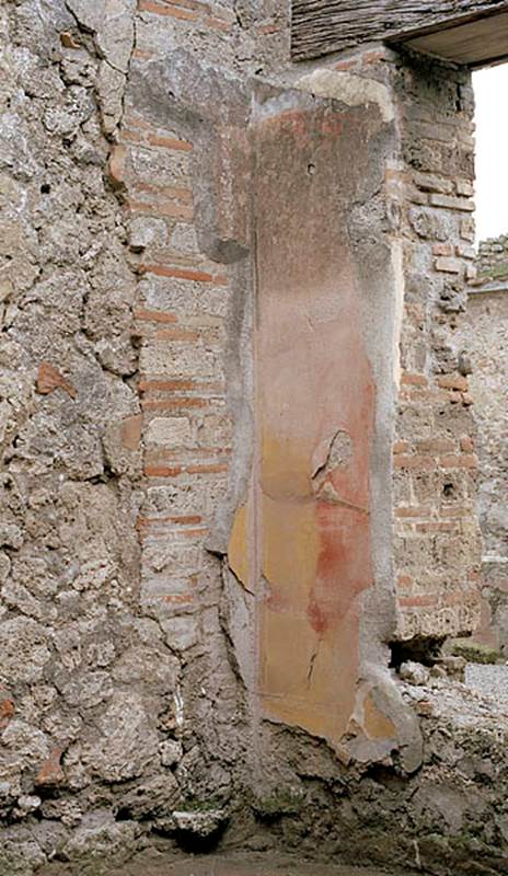 V.1.18 Pompeii. c.2005-2008.   
Room “n”, oecus, detail of painted decoration in south-east corner. Photo by Hans Thorwid.
Photo courtesy of The Swedish Pompeii Project.