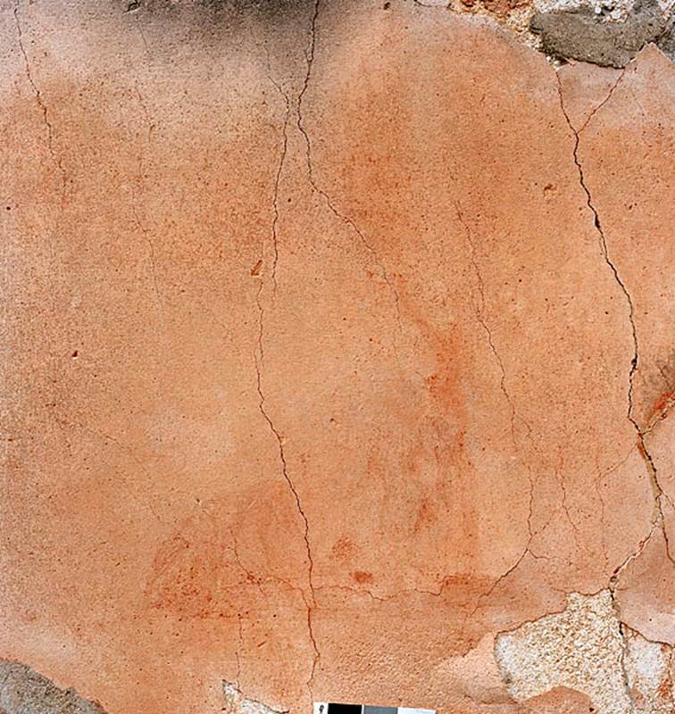 V.1.18 Pompeii. c.2005-2008.  
Tablinum “g”, middle zone of north wall, detail of remaining decoration towards east end, (see below). 
Photo by Hans Thorwid.
Photo courtesy of The Swedish Pompeii Project.