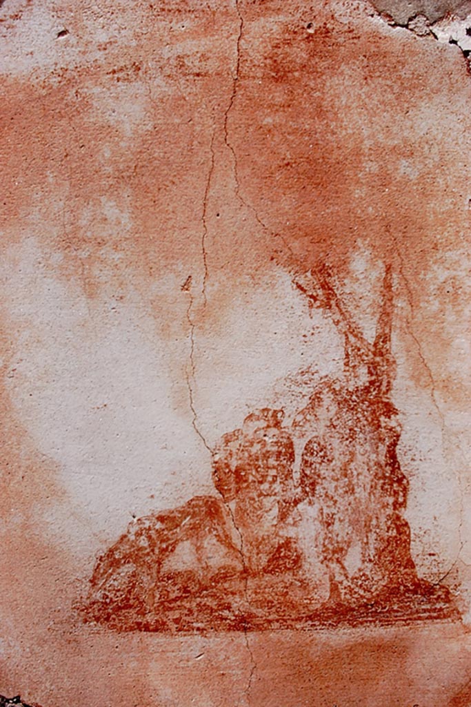 V.1.18 Pompeii. 1972. 
Tablinum “g”, small painting of a drinking hunting dog, held on a lead by a cupid leaning against a tree, from north wall of tablinum. 
Photo by Stanley A. Jashemski. 
Source: The Wilhelmina and Stanley A. Jashemski archive in the University of Maryland Library, Special Collections (See collection page) and made available under the Creative Commons Attribution-Non-Commercial License v.4. See Licence and use details.
J72f0407
See Sogliano, A., 1879. Le pitture murali campane scoverte negli anni 1867-79. Napoli: Giannini. (p.63, no.362 for above and below, on left).
(p.64, no.367 for below, on right).
Also found in tablinum “g”, but nearly vanished, were “Cupids joking around”: Three Cupids are trying to raise a large round shield, attribute of Mars. Two of them are standing; the third, who was sitting, was in the act of mirroring himself in the shield.) (Bull. Inst. 1877, p.23). 
See Sogliano, A., 1879. Le pitture murali campane scoverte negli anni 1867-79. Napoli: Giannini. (p.61, no.352 not photographed here).