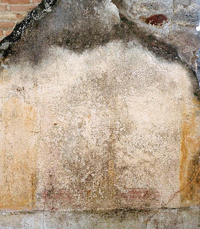 V.1.18 Pompeii. c.2005-2008.  Room “d”.
South wall, detail of area between doorway and window. Photo by Hans Thorwid.
Photo courtesy of The Swedish Pompeii Project.