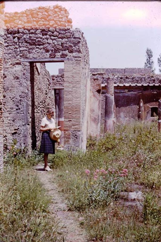 V.1.18 Pompeii. 1964. East wall of ala “e”, and doorway to corridor “h” leading to peristyle “i”.
Photo by Stanley A. Jashemski.
Source: The Wilhelmina and Stanley A. Jashemski archive in the University of Maryland Library, Special Collections (See collection page) and made available under the Creative Commons Attribution-Non Commercial License v.4. See Licence and use details.
J64f0899