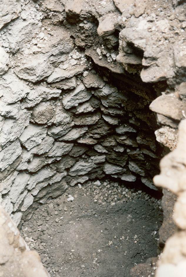V.1.20 Pompeii. Pre 2008.  Room “d”.
Cess pit under latrine in south-east corner of kitchen.
Photo by Henrik Boman.