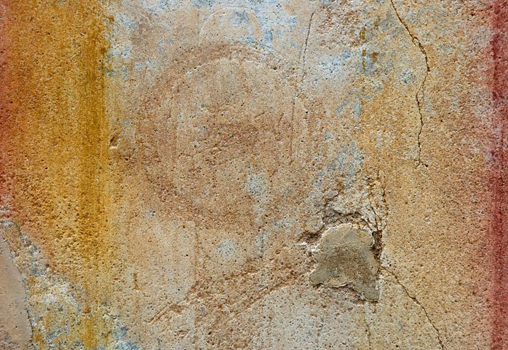 V.1.23 Pompeii. Room “k”, medallion on north wall of triclinium. Photo by Hans Thorwid.
Photo courtesy of the Swedish Pompeii Project.