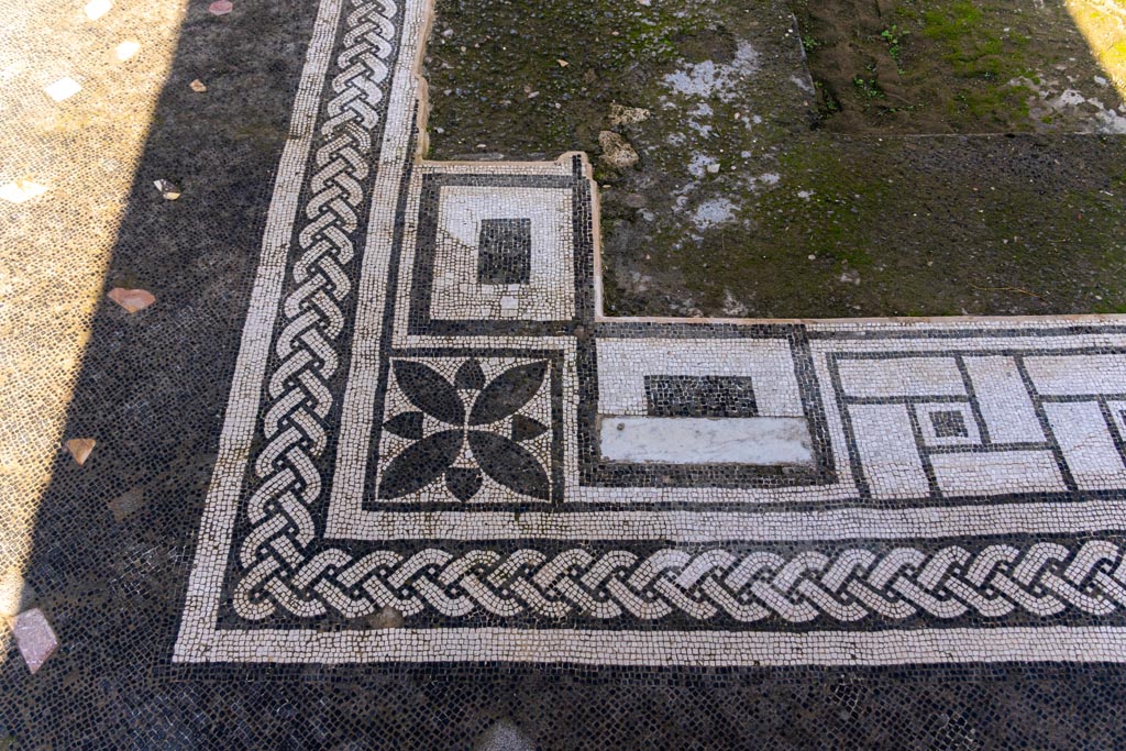 V.1.26 Pompeii. October 2023. 
Room “b”, detail of mosaic in south-west corner of impluvium, looking north. Photo courtesy of Johannes Eber