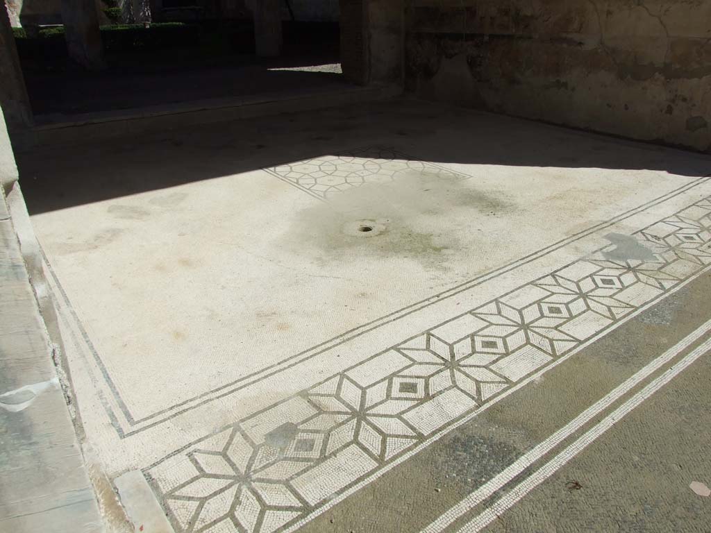 V.1.26 Pompeii. March 2009. Room “i”, north end of mosaic doorway threshold.