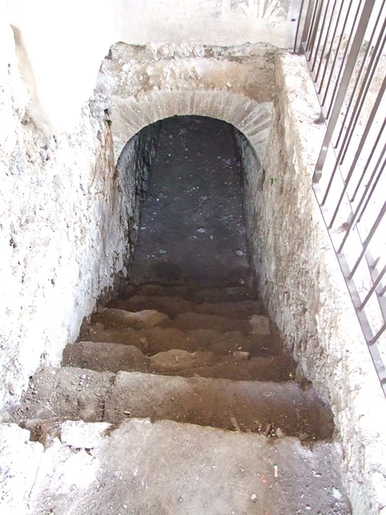 V.1.26 Pompeii. March 2009. Steps to cellar against east wall of north portico.