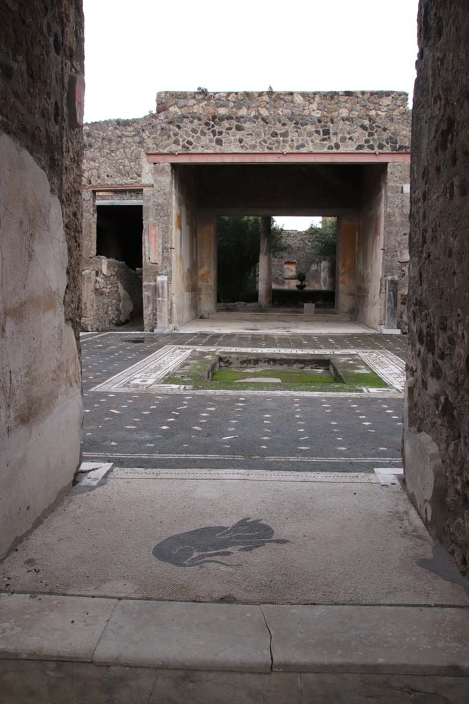 V.1.26 Pompeii. October 2020. Looking east across mosaic in vestibule towards atrium.
Photo courtesy of Klaus Heese.