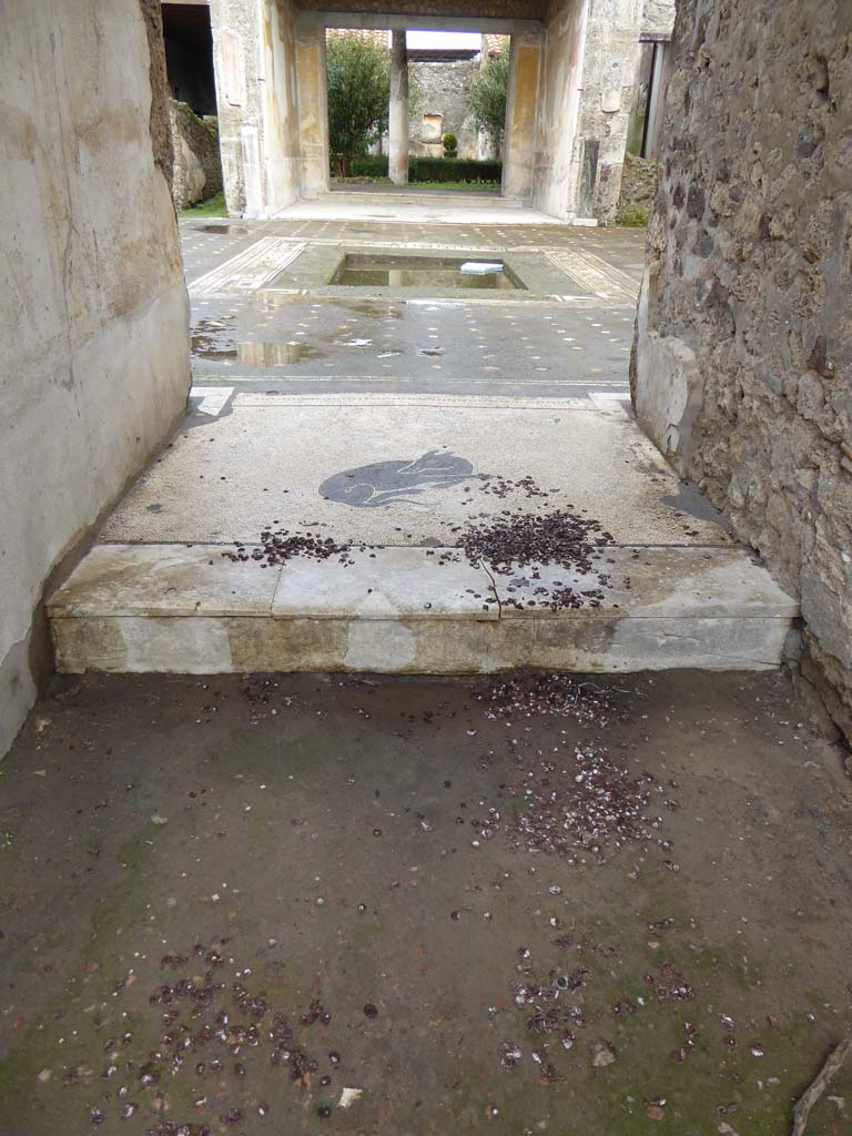 V.1.26 Pompeii. January 2017. 
Looking east across mosaic in vestibule towards mosaic flooring and impluvium in atrium.
Foto Annette Haug, ERC Grant 681269 DÉCOR.