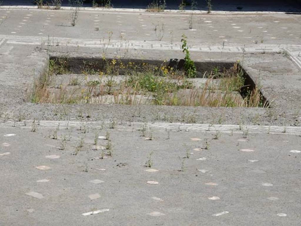 V.1.26 Pompeii. May 2017. Room “b”, looking east across flooring in atrium, towards impluvium. Photo courtesy of Buzz Ferebee.