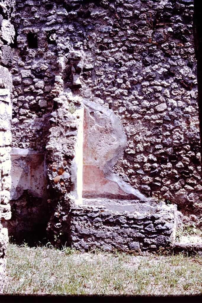 V.1.28 Pompeii. 1972. East wall of atrium. In 1972, Wilhelmina could only just make out three leaves.
See Jashemski, W. F., 1993. The Gardens of Pompeii, Volume II: Appendices. New York: Caratzas. (p.335)
Photo by Stanley A. Jashemski. 
Source: The Wilhelmina and Stanley A. Jashemski archive in the University of Maryland Library, Special Collections (See collection page) and made available under the Creative Commons Attribution-Non-Commercial License v.4. See Licence and use details.
J72f0403