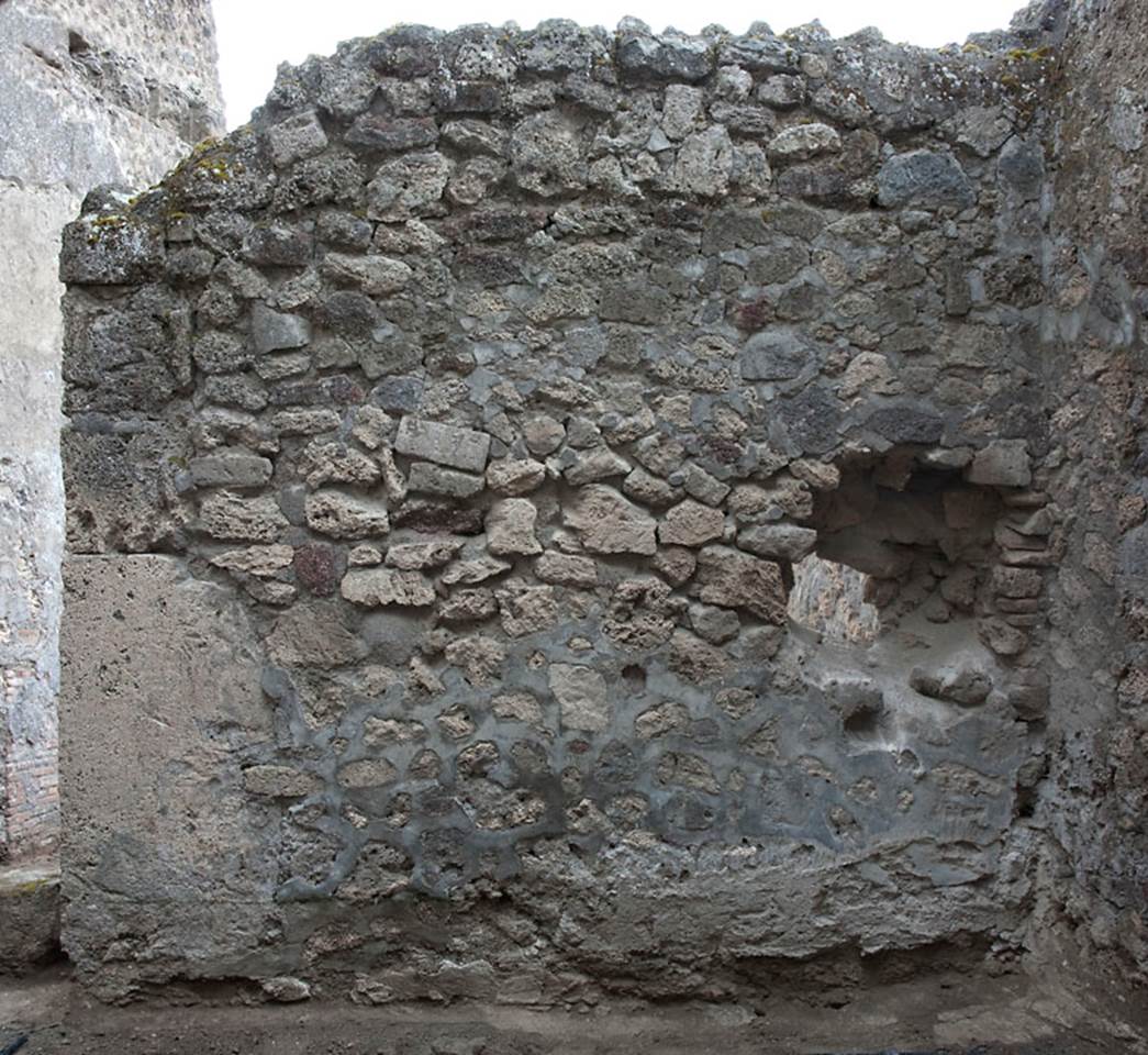 V.1.30 Pompeii. c.2010.
Looking towards west wall in rear room. Photo by Hans Thorwid.
Photo courtesy of The Swedish Pompeii Project.