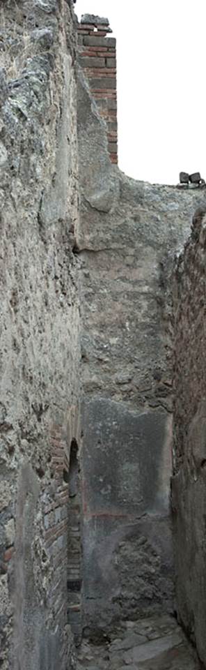 V.1.31 Pompeii. c.2010. 
East wall of room 3, corridor. Photo by Hans Thorwid.
Photo courtesy of The Swedish Pompeii Project.