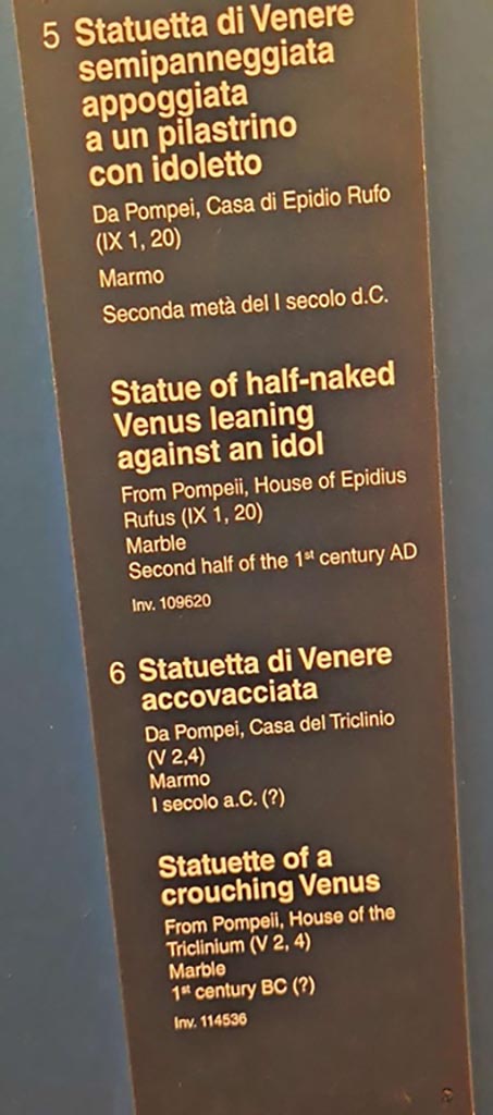 V.2.4 Pompeii. October 2023. 
Description card (no. 6) for crouching Venus, inv. 114536. Photo courtesy of Giuseppe Ciaramella.