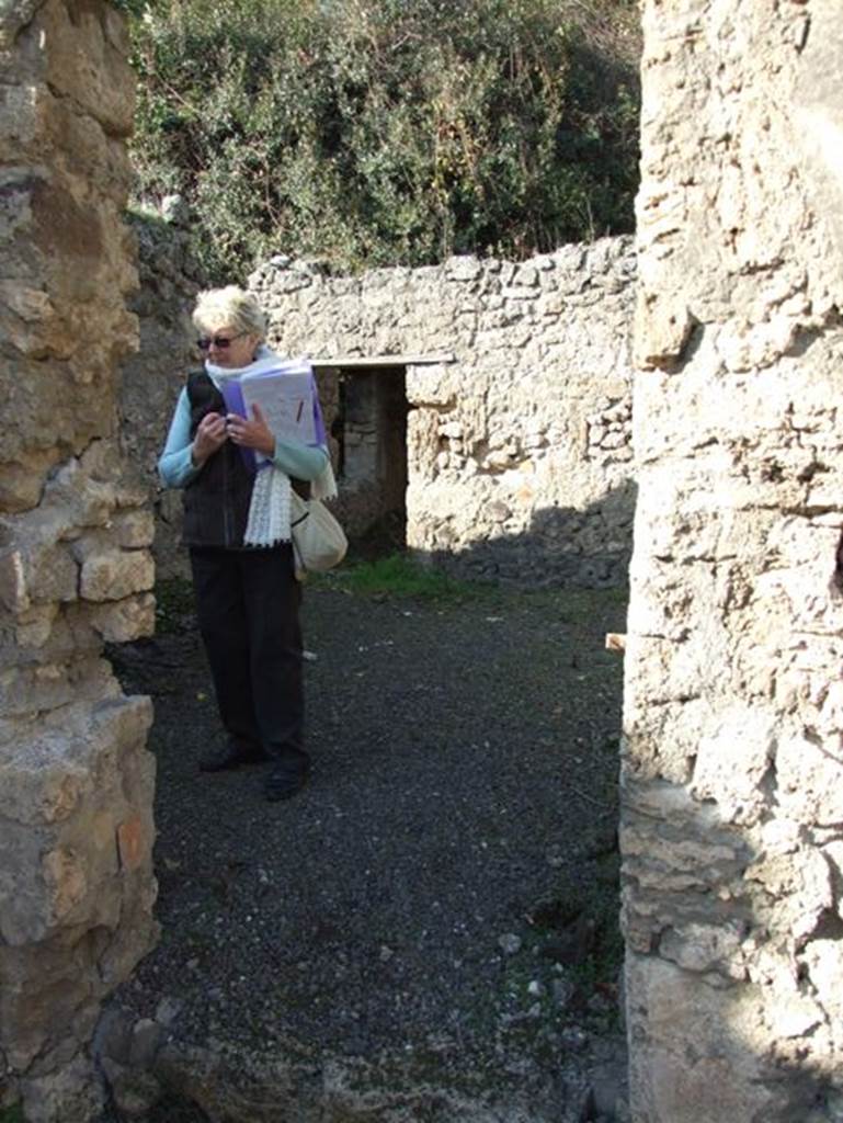 V.2.20 Pompeii. December 2007. Looking north into light-yard through doorway in north wall of rear room of V.2.19.