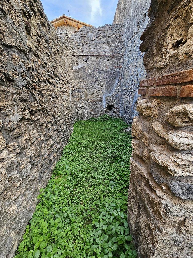 V.2.b Pompeii. November 2024. 
Looking east through doorway from room “c”, and into room “d”. Photo courtesy of Annette Haug.