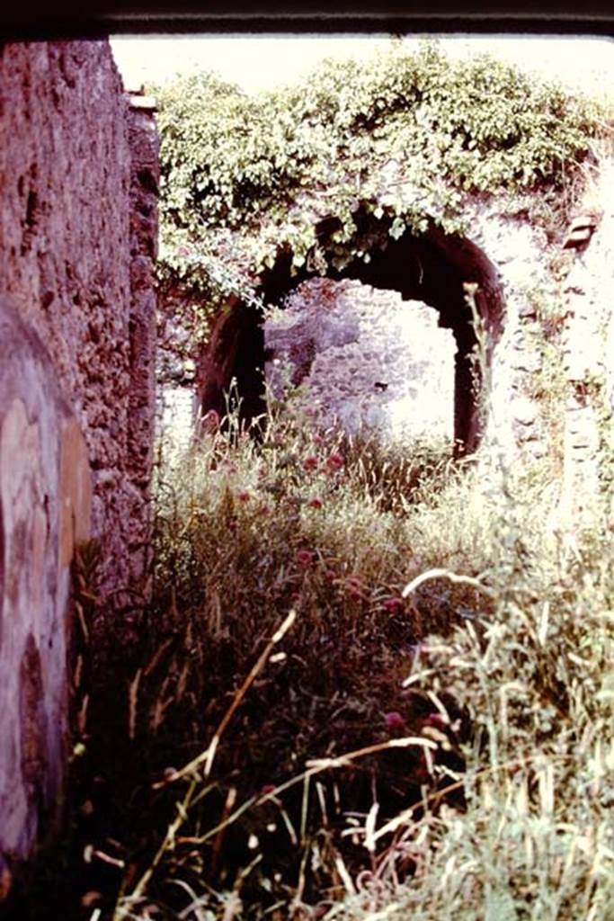 V.2.d Pompeii. 1978. Entrance corridor, looking east to atrium. The high zoccolo of the entrance vestibule would have been of cocciopesto and this would also have been seen on the exterior façade of the house. The remains of the painted panels of yellow and black can be seen on the left, these would have contained small paintings (vignettes), but are now illegible. Photo by Stanley A. Jashemski.   
Source: The Wilhelmina and Stanley A. Jashemski archive in the University of Maryland Library, Special Collections (See collection page) and made available under the Creative Commons Attribution-Non Commercial License v.4. See Licence and use details. J78f0246