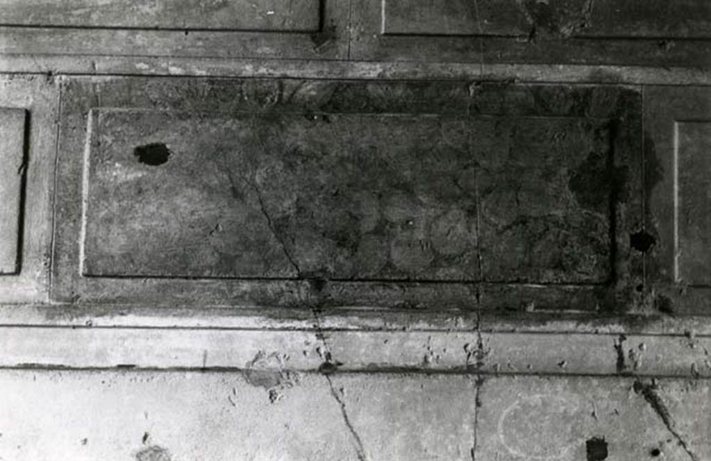 V.2.h Pompeii. 1980. Casa del Cenacolo, cubiculum g, detail of marbling on left E wall.  Photo courtesy of Anne Laidlaw.
American Academy in Rome, Photographic Archive. Laidlaw collection _P_80_1_29.