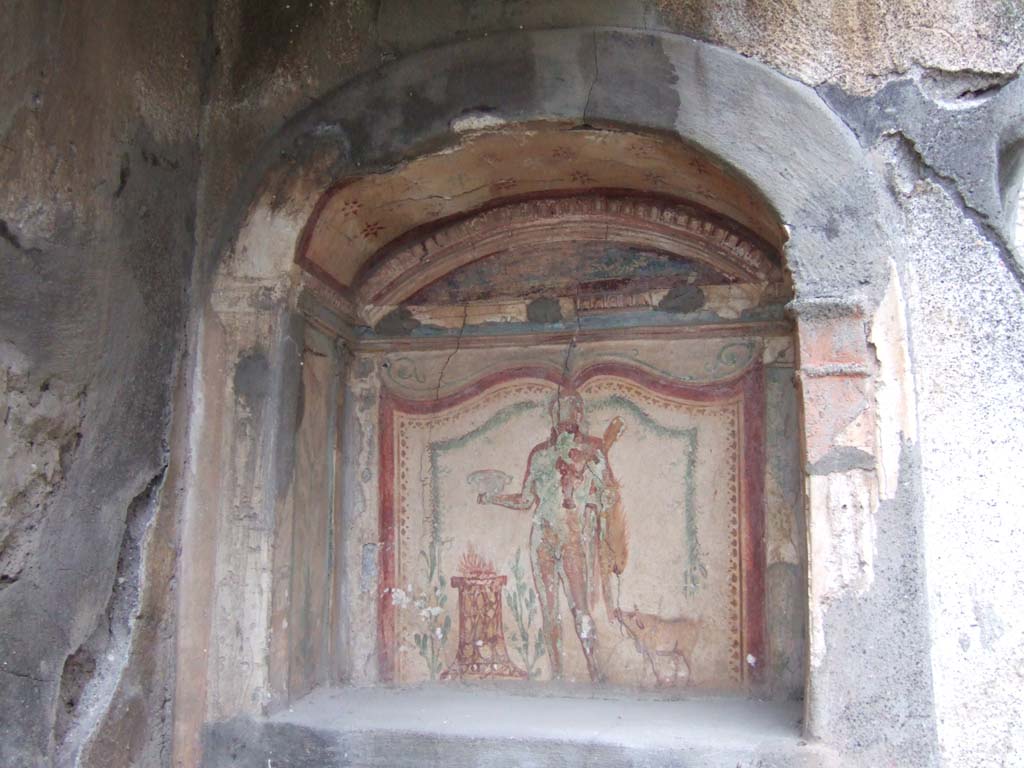V.2.h Pompeii. December 2005. Lararium niche in north wall of area ‘k’, found on 10th November 1891.
According to Boyce, behind the tablinum is a narrow space preceding the garden.
In its north wall, to the right of the door, was an arched niche below which was a stucco-covered ledge.
The vaulted ceiling was decorated with crude stars in red and green.
The figure of Hercules is in the centre, beneath two garlands, one yellow, and one green.
On his right stands a painted altar of yellowish marble with a blazing fire on the top, with a laurel bush on either side.
On his left was a hog, which was raising its snout to the edge of the lion skin.
This lararium was found with its equipment complete
a bronze statuette of Mercury with traces of gilding
a terracotta statuette of Minerva,
a bronze statuette representing a kneeling woman extending both hands before her body with both palms turned upward.
Other minor objects were found
a terracotta votive head of a Bacchante
a small circular terracotta altar
a terracotta lamp
an amulet in the form of a dolphin
two coins 
an as of Germanicus
a sestertius of Nero.
See Boyce G. K., 1937. Corpus of the Lararia of Pompeii. Rome: MAAR 14. (p.37, no.108, Pl. 8,1)