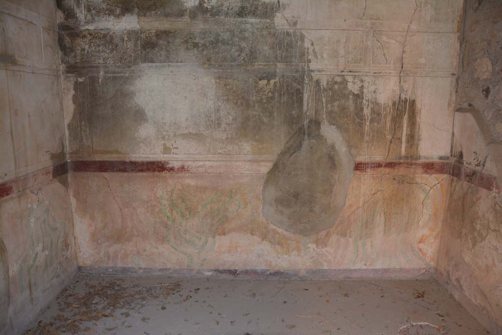 V.2.h Pompeii. October 2019. Room ‘i’, lower east wall.
Foto Annette Haug, ERC Grant 681269 DÉCOR.