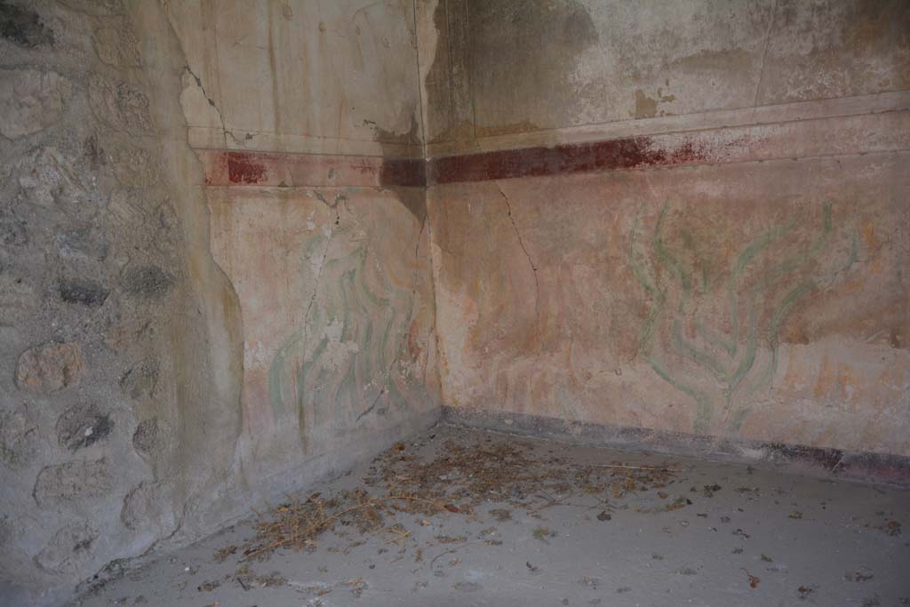 V.2.h Pompeii. October 2019. Room ‘i’, south-east corner.
Foto Annette Haug, ERC Grant 681269 DÉCOR.