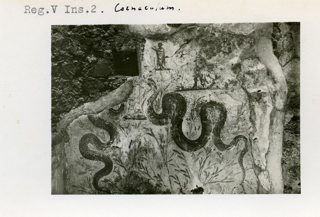 V.2.h Pompeii. Pre 1937-39. Lararium on south wall of kitchen ‘p’.
Photo courtesy of American Academy in Rome, Photographic Archive. Warsher collection no. 962.