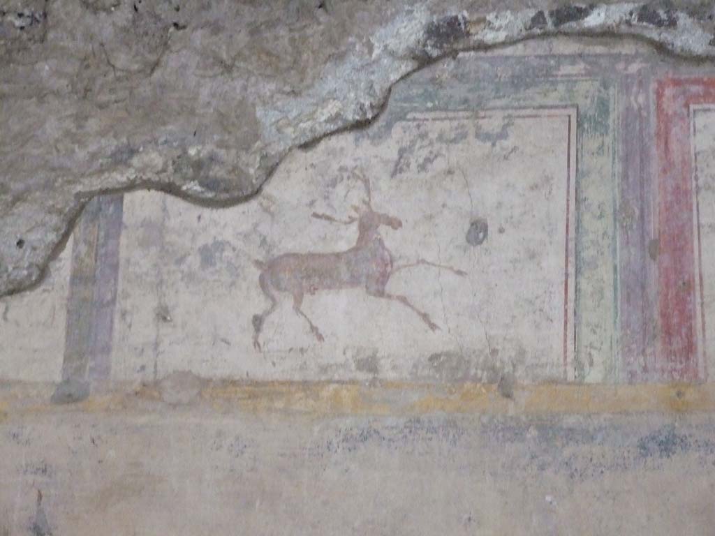 V.2.i Pompeii. December 2007. Room 23, painted stag on south side of Rhodian peristyle.