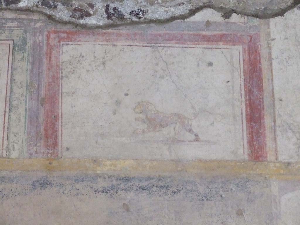 V.2.i Pompeii. December 2007. Room 23, painted lion on south side of Rhodian peristyle.