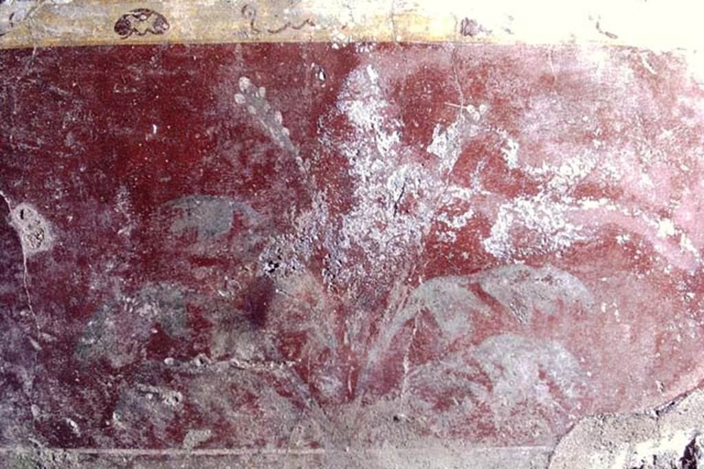 V.2.i Pompeii, 1968. Room 5, detail of painted zoccolo from east end of south wall of ala.  Photo by Stanley A. Jashemski.
Source: The Wilhelmina and Stanley A. Jashemski archive in the University of Maryland Library, Special Collections (See collection page) and made available under the Creative Commons Attribution-Non Commercial License v.4. See Licence and use details. J68f1560