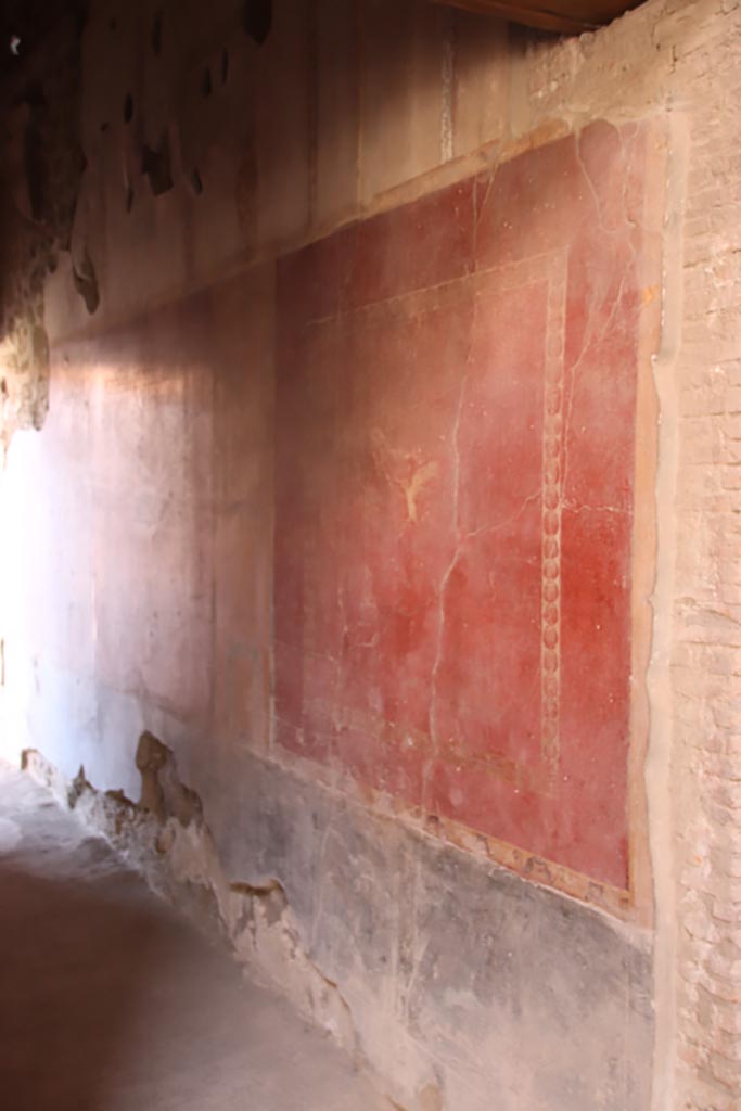 V.2.i Pompeii.  October 2023. 
Corridor 10, painted panel on west wall. Photo courtesy of Klaus Heese.