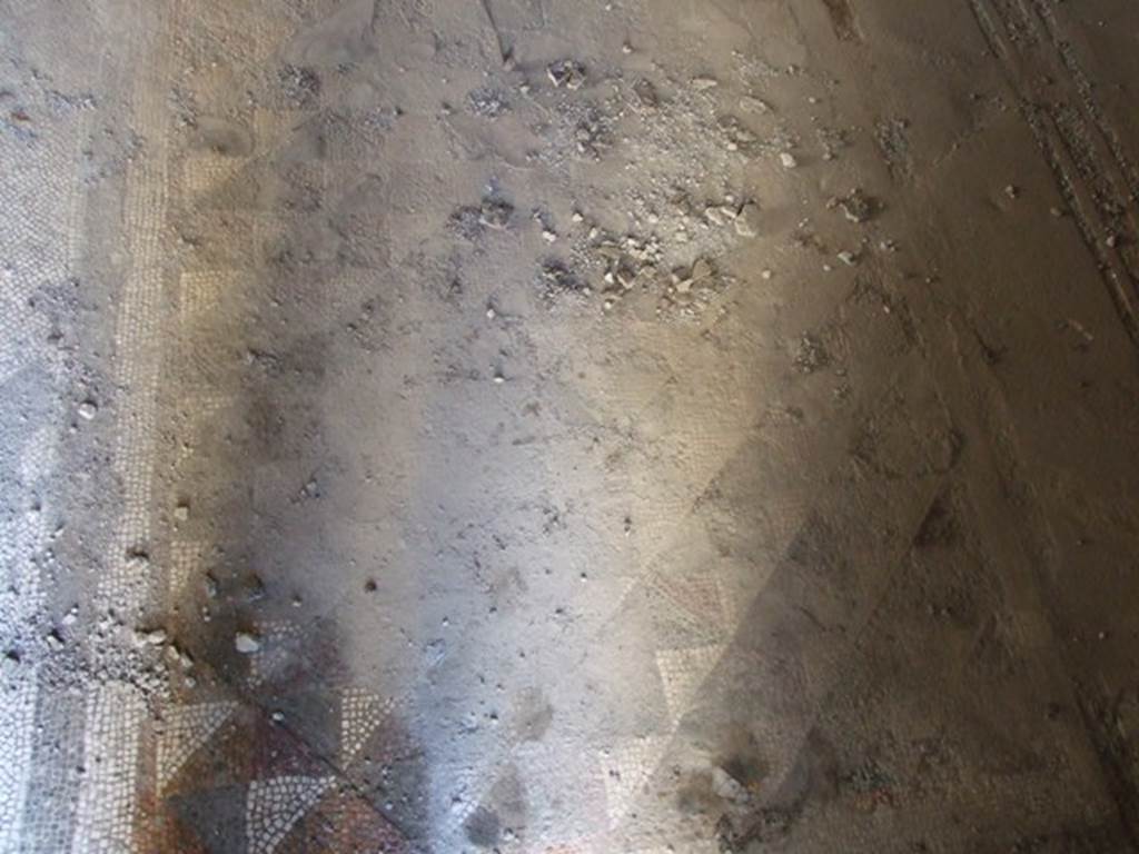 V.2.i Pompeii. December 2007.  Room 14, mosaic floor in apodyterium or dressing room.