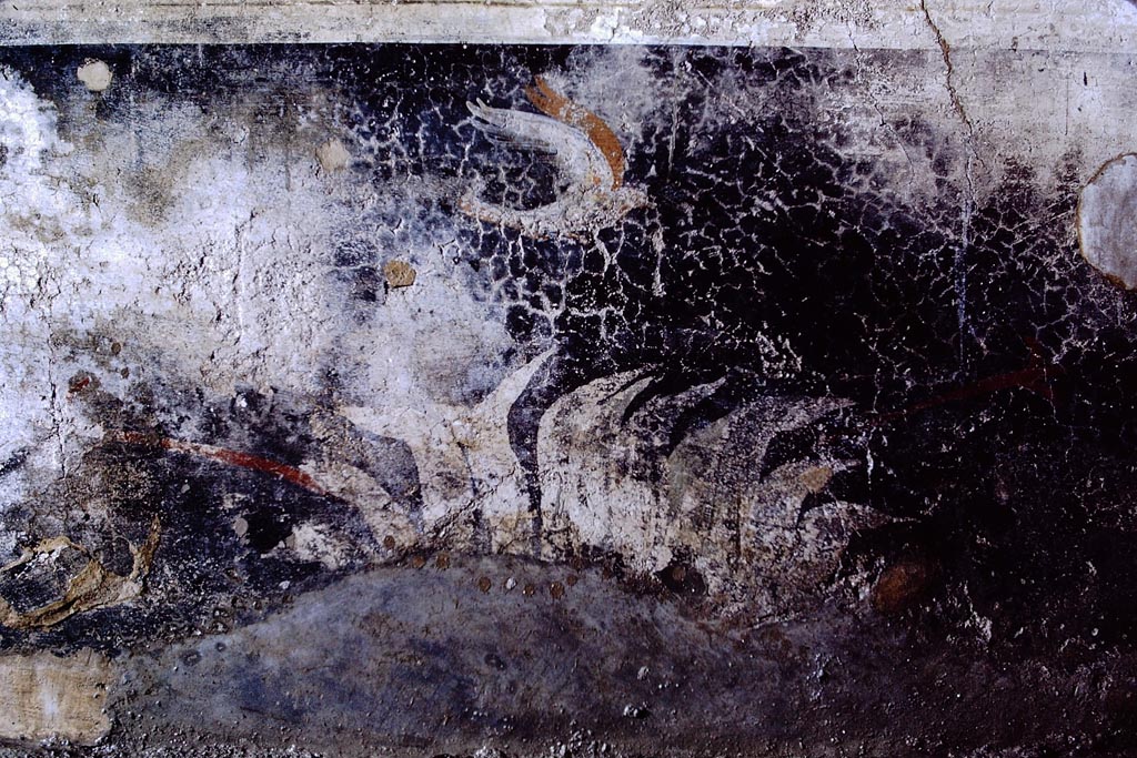 V.2.1 Pompeii, 1968. 
Room 17, black zoccolo panel with plant and bird in flight towards the right, from west end of south wall of anteroom of oecus/triclinium. 
Photo by Stanley A. Jashemski.
Source: The Wilhelmina and Stanley A. Jashemski archive in the University of Maryland Library, Special Collections (See collection page) and made available under the Creative Commons Attribution-Non-Commercial License v.4. See Licence and use details.
J68f1556