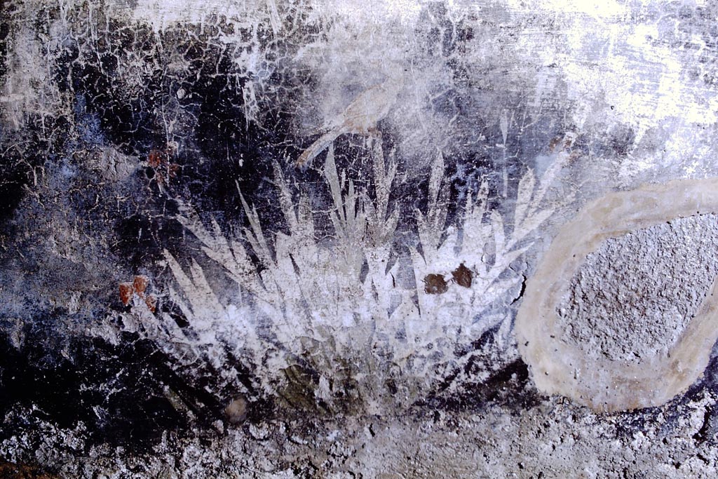 V.2.i Pompeii. 1968. 
Room 17, black zoccolo painted with plants and bird from north wall of oecus/triclinium. Photo by Stanley A. Jashemski.
Source: The Wilhelmina and Stanley A. Jashemski archive in the University of Maryland Library, Special Collections (See collection page) and made available under the Creative Commons Attribution-Non-Commercial License v.4. See Licence and use details.
J68f1555