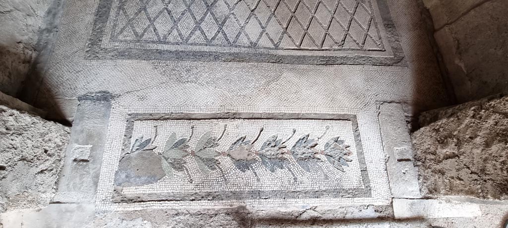 V.2.i Pompeii. December 2023. Room 20, doorway threshold. Photo courtesy of Miriam Colomer.