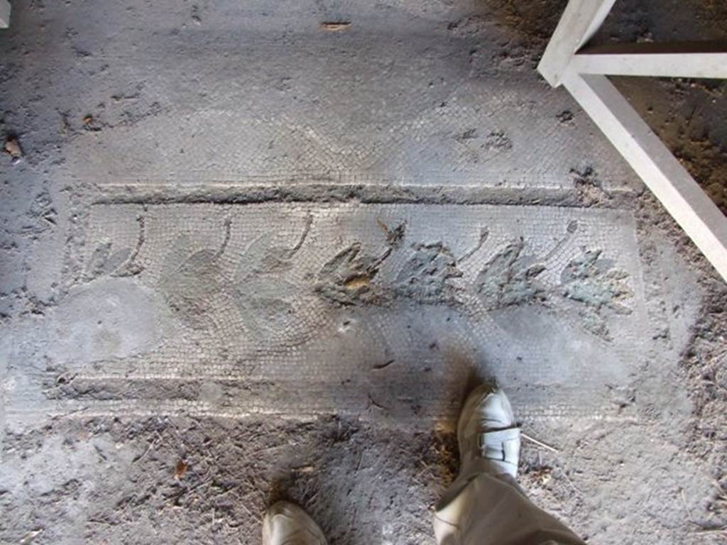 V.2.i Pompeii. December 2007. Room 20, mosaic floor at room threshold of bedroom or small dining room?