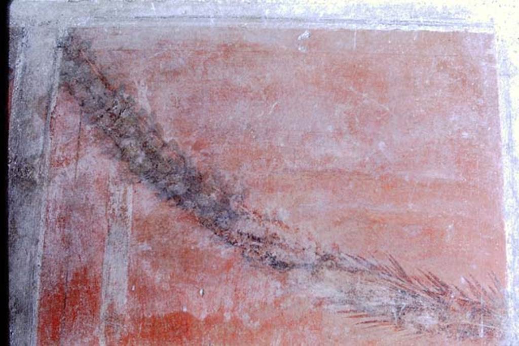 V.2.i Pompeii, 1968. Room 21, south wall. Detail of painted garland. Photo by Stanley A. Jashemski.
Source: The Wilhelmina and Stanley A. Jashemski archive in the University of Maryland Library, Special Collections (See collection page) and made available under the Creative Commons Attribution-Non-Commercial License v.4. See Licence and use details.
J68f0742