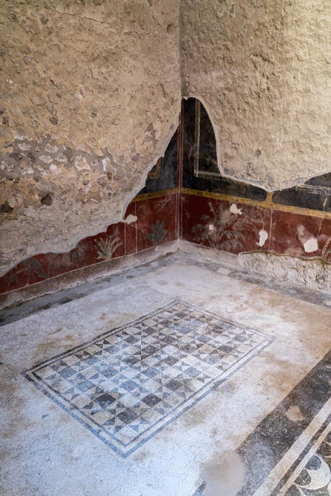 V.2.i Pompeii. March 2023. 
Room 5, looking towards lower south-east corner. Photo courtesy of Johannes Eber.