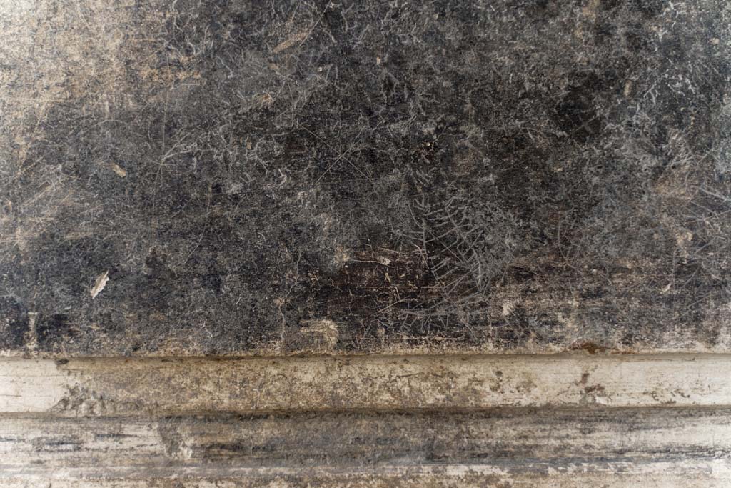 V.2 Pompeii. Casa di Orione. April 2022. 
Detail from black painted panel on south side of entrance corridor/fauces. Photo courtesy of Johannes Eber.