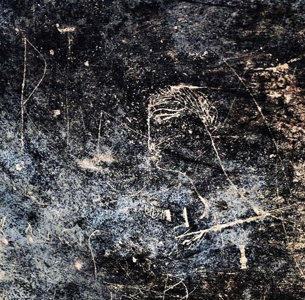 V.2.15 Pompeii. August 2018. Room A4 entrance fauces, face in graffiti.
Photograph Massimo Osanna © Parco Archeologico di Pompei.