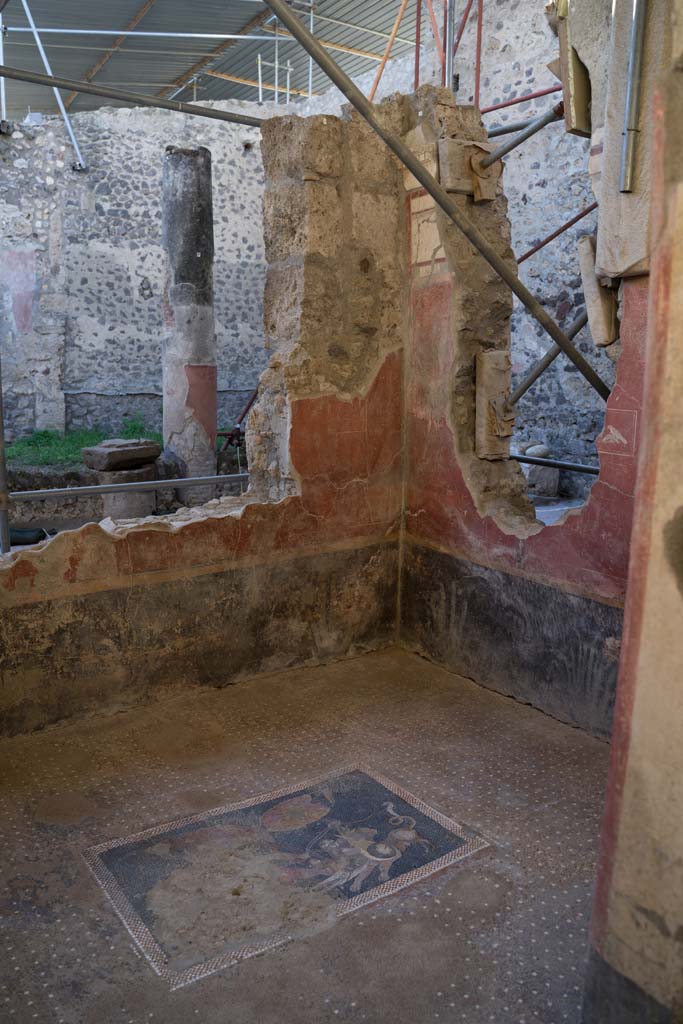 V.2, Pompeii. Casa di Orione. October 2021. 
Room 6, with panther floor mosaic, looking north-west. Photo courtesy of Johannes Eber.