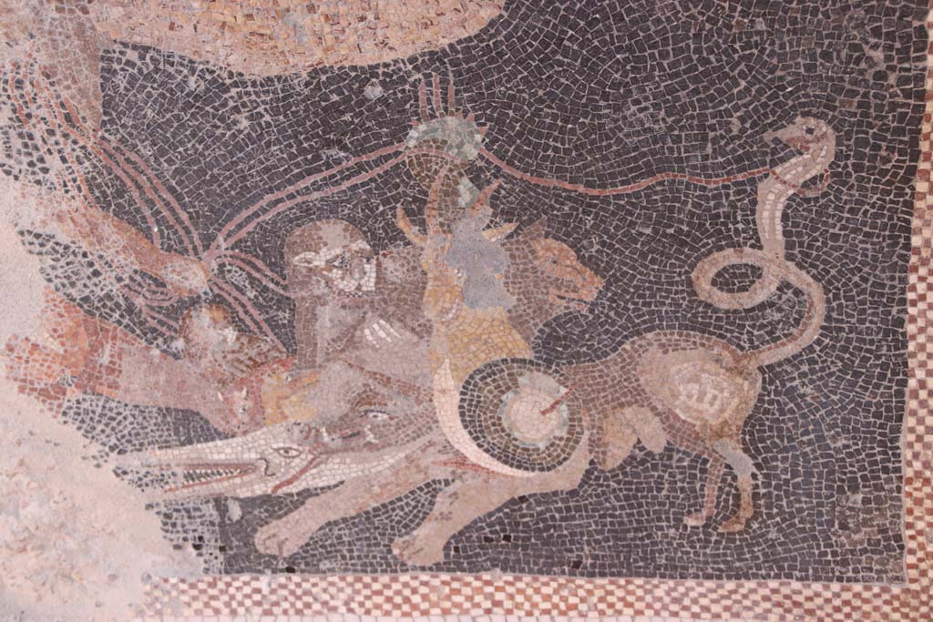 V.2.Pompeii. Casa di Orione. September 2021. Room 6, detail from floor mosaic with panther. Photo courtesy of Klaus Heese.