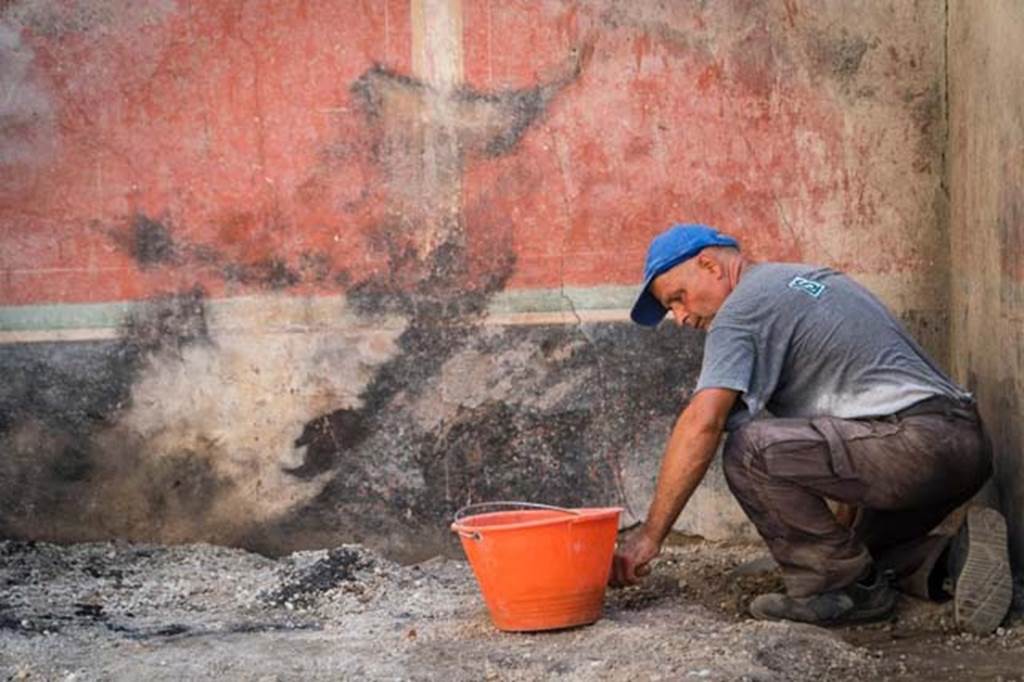 V.2.Pompeii. Casa di Orione. August 2018. Room A10, triclinium, with burnt wall and traces of a burnt couch on the floor.
Photograph © Parco Archeologico di Pompei.
According to Osanna,
“During the excavation, numerous burned wooden fragments appeared, together with an obvious concentration of inorganic burnt materials, found near the eastern wall of the room. During the eruption there had to have been a fire limited to this room of the house, which caused the combustion and subsequent mineralization of the elements of organic materials. The silhouette of the burning remaining on the eastern decorated wall of the room, of the peculiar shape (of the burn) inclined towards the south, together with that identified on the southern wall suggest that the first collapse of the ceiling had occurred in the south-east corner of the room. The collapse that led to new oxygen entering the room, must have fed and given new strength to the fire in progress. Indeed, it was precisely at this corner of the room that the largest number of fragments of the roofing were found superimposed on the burned wood material.
Among the numerous burned wooden elements, fragments of charred material stood out, characterized by an extremely vacuous and spongy structure, which could be identified as padding of a mattress. An extraordinary fact is that many of these fragments of organic material were adhered to pieces of fabric, evidently what remained of the fabrics that covered the couch (see fig. 20, p.107 in book). 
In direct contact with the floor, moreover, where one also saw carbon and strips of straw-like trellising pertaining to the collapse of the ceiling, one could also see two large regular carbonised traces, which had an L-shape. The ample black marks, without a shadow of doubt, refer to the presence of a pair of couches arranged with every probability along the walls. Indeed, there could have been a third couch, which might have been removed due to the renovation taking place in the house.”
See Osanna M, 2019. Pompei. Il tempo ritrovato. Le Nuove Scoperte. Milano: Rizzoli (p. 106-8).