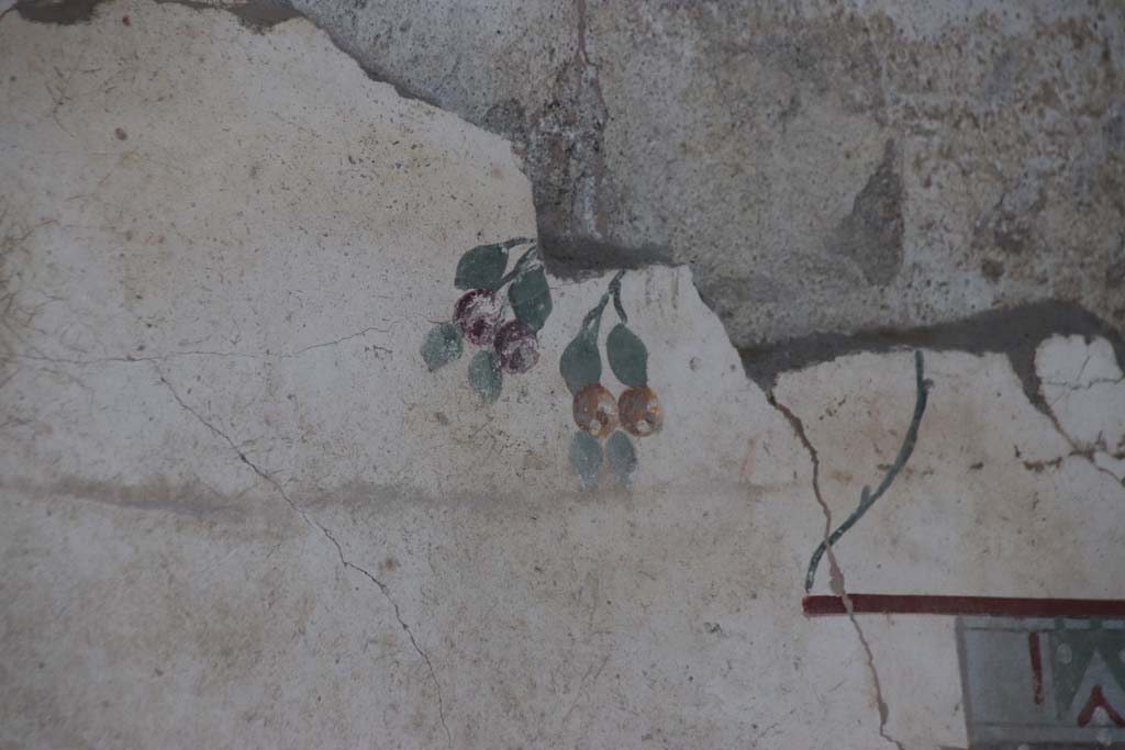 V.2.Pompeii. Casa di Orione. September 2021. 
Room A13, detail of painted decoration with fruit (?) from upper east wall of south ala. Photo courtesy of Klaus Heese.