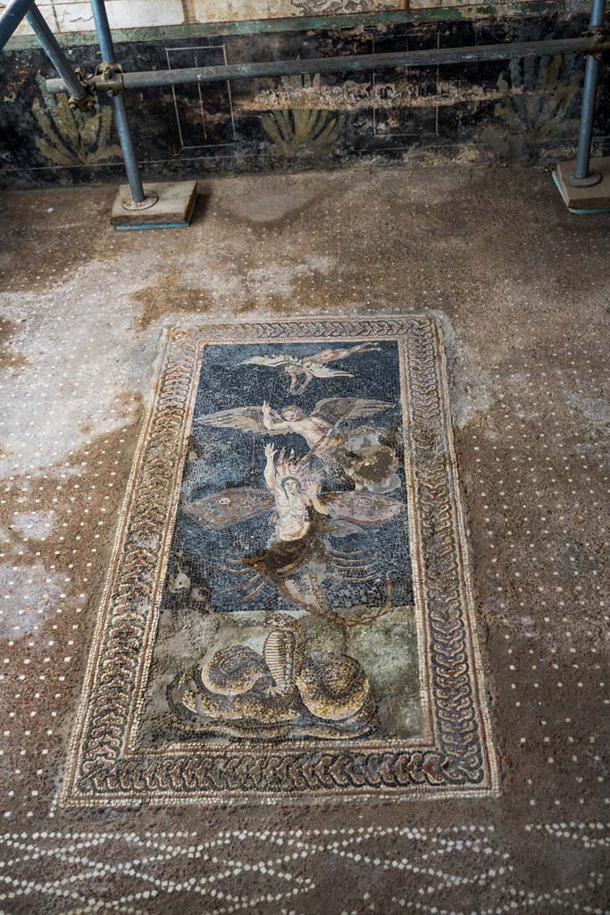 V.2, Pompeii. Casa di Orione. October 2021. 
Room A13, looking south across floor mosaic in south ala. Photo courtesy of Johannes Eber.
