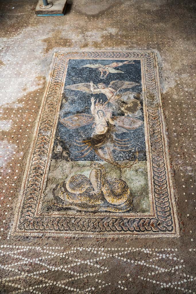 V.2, Pompeii. Casa di Orione. October 2021. 
Room A13, floor mosaic in south ala. Photo courtesy of Johannes Eber.