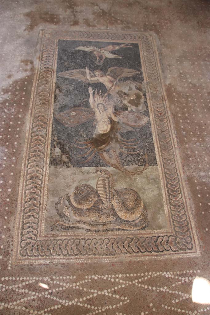 V.2.Pompeii. Casa di Orione. September 2021. 
Room A13, floor mosaic in south ala. Photo courtesy of Klaus Heese.