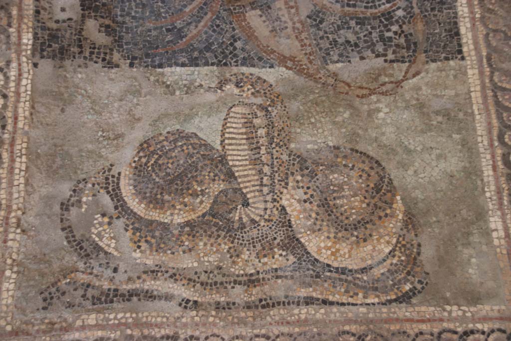 V.2.Pompeii. Casa di Orione. September 2021. 
Room A13, detail of cobra from floor mosaic in south ala. Photo courtesy of Klaus Heese.