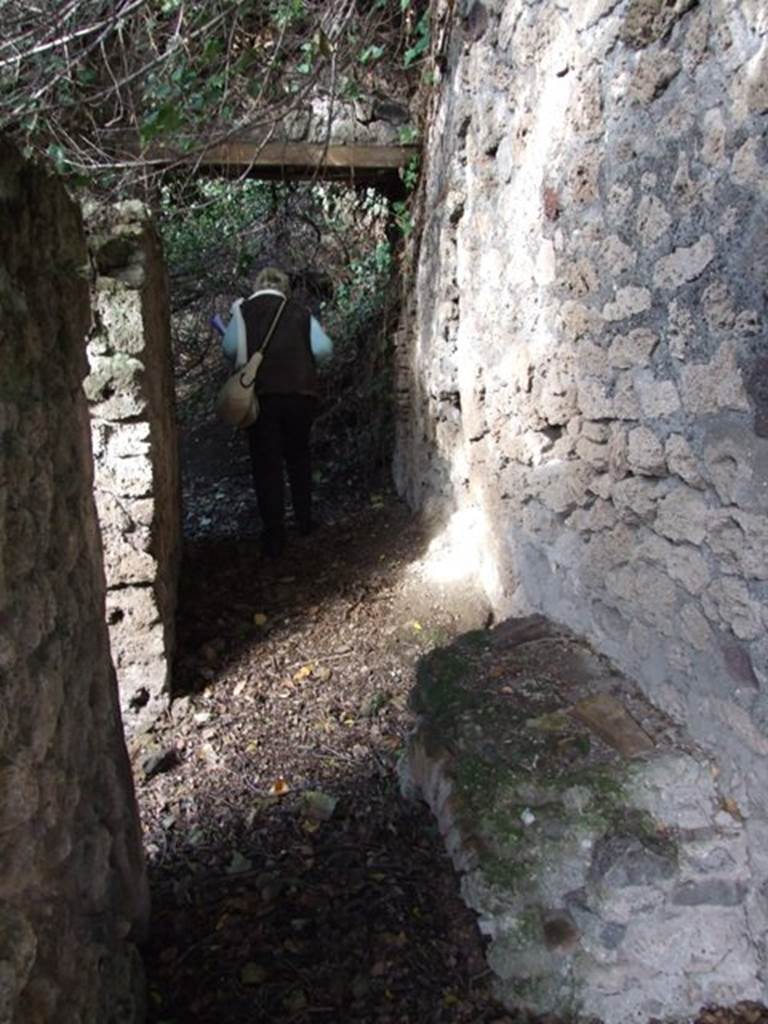 V.2 Pompeii. Casa di Orione. December 2007. Looking north along corridor, 11a. On the left is the doorway to room 11b.   
Following the 2018 excavations, this area is now considered to be the Casa di Orione with a separate entrance from the Vicolo dei Balconi. 
It is considered to be two separate houses, with two entrance doorways and two names.