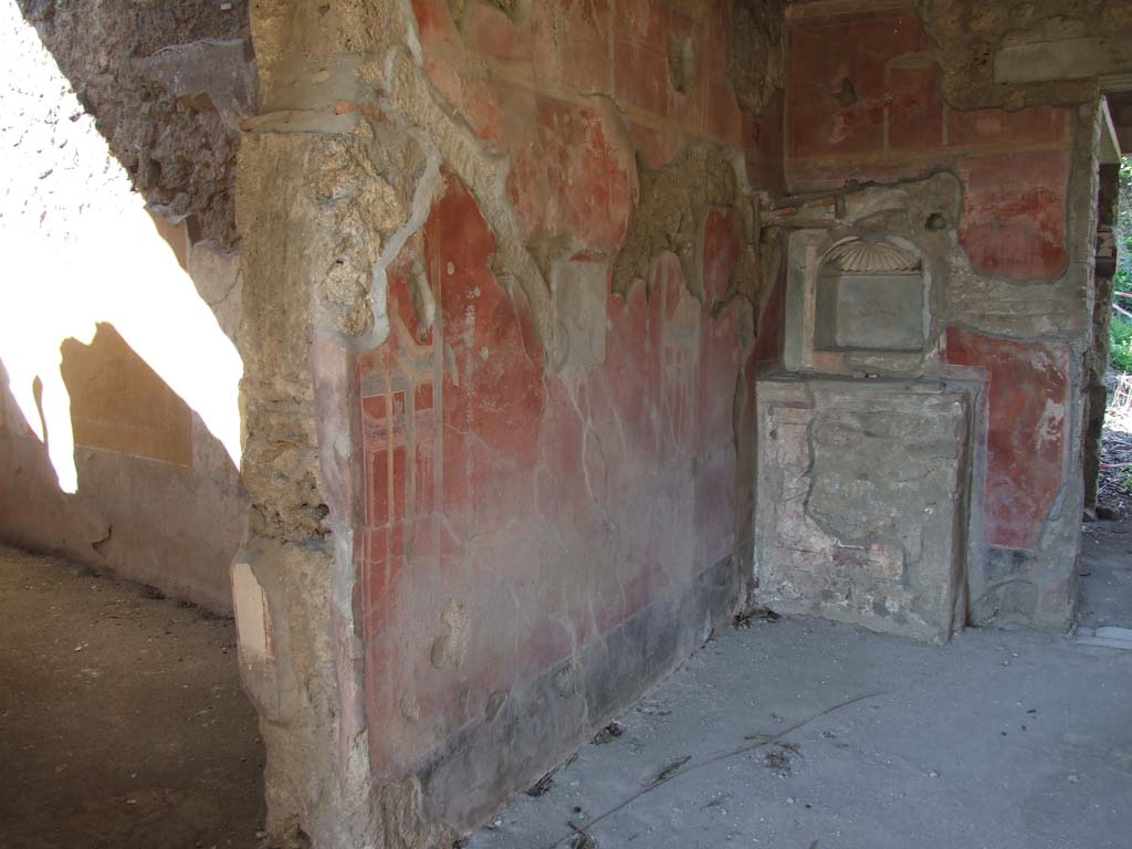 V.3.4 Pompeii. March 2009. West wall of tablinum.
According to Sogliano, the walls of the tablinum were painted with six large red panels.
Each had a painted medallion in its centre, showing a flying griffin, except for the first one on the left (west) wall.
The first one on the left either had one that had faded away or had never existed.
The panel on the left was enclosed between two architectural motifs, on which each was adorned with a dolphin and garlands.
The frieze was also decorated with architectural motifs of panels, arabesques, garlands, roundels, flying swans, etc.
Below the frieze, and between it and the large red panel, was a broad yellow band.
The lower base of the wall was painted black, divided into panels, and decorated with painted plants.
See Notizie degli Scavi di Antichità, 1905, (p.206)